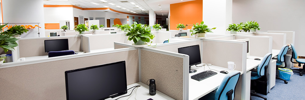 commerical pest control services
